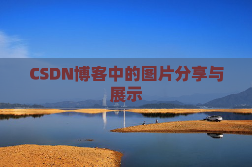 CSDN博客中的图片分享与展示